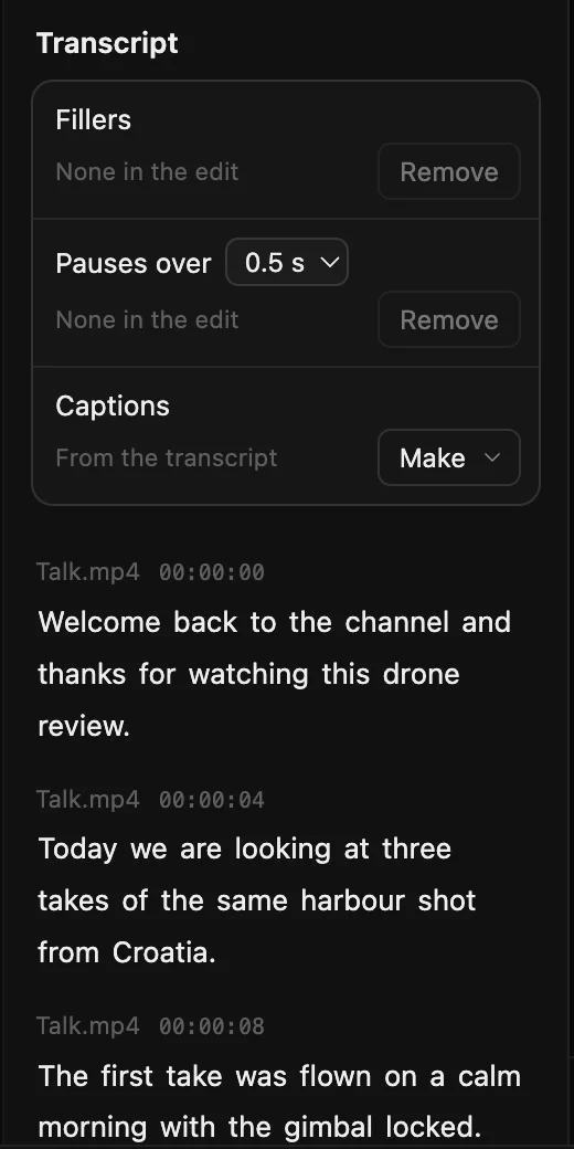 The transcript panel with buttons to remove filler words and pauses, and the transcribed talk below.